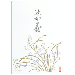 {m[g AsJ  ҂ Z~B5 cr 10s 35 Z31 SEN31