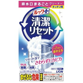 ライオン　排水口まるごとクリーナーキッチン用 2包入