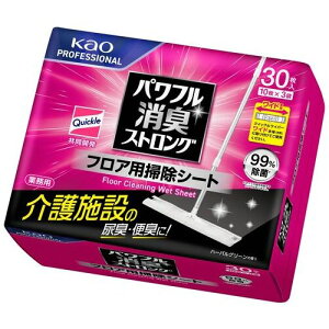 ԉ ptLXgOtAp|V[g (4)