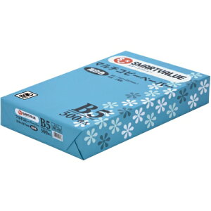 Rs[y[p[F B5 500 A031J