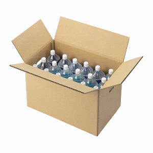 WF穴付ダンボール箱 大大10枚 B243J-LL