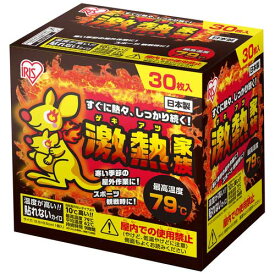 アイリスオーヤマ 激熱家族 貼れないレギュラー30個入