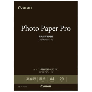 ʐ^p v PT-201A420 A4 20
