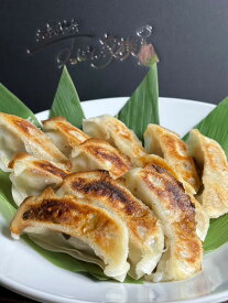 すっぽん餃子 餃子 スープ すっぽんスープ スッポンスープ 料理 肉 エキス 国産 グルメ 老舗 全国 取り寄せ 取り寄せグルメ コラーゲン 液体 美容 精力 効果 ギフト プレゼント おすすめ 食べ物 惣菜 お惣菜 食品 高級 父の日 母の日 誕生日 敬老の日 贈り物