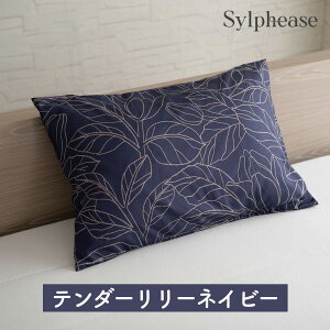 Jo[ 2g 43×63cm 35×50cm s[`XL s[P[X ܂Jo[ ɗD ₷ ԕ  킢  􂦂 EHbVu ɂȂɂ  zc Q