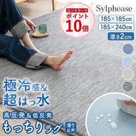 【エントリーでP10倍】ラグ はっ水 撥水 撥水ラグ 夏 接触冷感 カーペット マット ラグマット ひんやり 冷感 厚手 子供 滑り止め加工 すべり止め 2畳 3畳 正方形 長方形 夏用 おしゃれ 北欧 子供部屋 リビング 省エネ