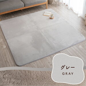 ラグ 洗える 冬 冬用 暖かい ラグマット 蓄熱 吸湿発熱 抗菌防臭 保湿 椿エキス入り カーペット 絨毯 マット 85×170 130×190 185×185 200×240 200×290 1.5畳 2畳 3畳 洗濯機OK 滑り止め ずれにくい 床暖