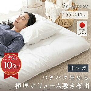 yԌP5{zypVĎ擾z~zc ~zc { Ɍ ݂₷ RpNg O܂ Y RۖhL h_j VO 11c  100×210cm {[ n zCg Ŗ ~