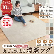 【エントリーでP10倍！】ラグ 洗える 2畳 3畳 4畳半 1.5畳 防ダニ 抗菌 防臭 無地 薄手 オールシーズン …