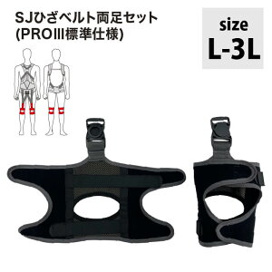 T|[gWPbgЂxgZbg(PROlllWdl) SUPPORT JACKET PROlllЂxg IvVp[c@[s[A[@vX[@SUPPORT JACKET@AVXgX[c@UPR@pbVu@̕S