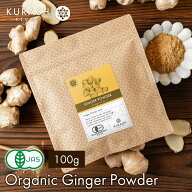 有機JAS ショウガパウダー 100g 生姜粉末 ジンジャー パウダー オーガニック 無添加 無着色 冷え 温活 時…