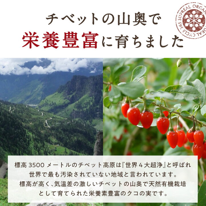 クコの実 150g 枸杞子 くこの実 残留農薬検査済み 送料無料 北海道 沖縄 離島も無料配送可 ポイント消化 森のこかげ 【送料無料キャンペーン?】