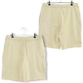 ザノースフェイス THE NORTH FACE ハーフパンツ バックプリント NF0A3S4F M GRAPHIC SHORT LIGHT-EU-3X4_GRAVEL