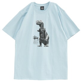 ステューシー STUSSY Tシャツ BIG&MEATY PIG.DYED TEE 1904880-SKY_BLUE【新作】