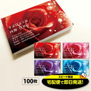 【当日〜翌営業日にスピード発送】宅配便で当日発送 対象エリアへは翌日到着 名刺(旧 あす楽 名刺)-10 100枚 名刺 作成 印刷 デザイン 制作 送料無料 即日 即日発送 急ぎ スピード発送 ビ