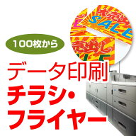 チラシ印刷 激安 A4 100枚〜 安い 即日対応(要相談) 初心者OK データ入稿 フライヤー印刷 送料無料
