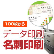 名刺 データ印刷 お客様が作ったデータを印刷します 100枚～500枚 名刺 印刷 名刺印刷 データ印刷 データ…