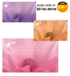 bZ[WJ[h@ԕ-7i菑pjhTCY ~j ko^Cf[ zCgf[ o[Xf[v[g ̓ ̓ hV̓  bZ[WJ[hl 킢 Mtg