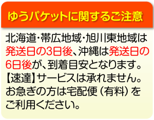 名刺,名刺印刷,名刺作成,名刺,作成,印刷,デザイン,送料無料