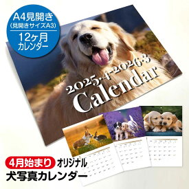 【4月始まり】オリジナル犬写真カレンダー 2025年版 - 愛らしい犬たちとの一年 A3 見開き A4冊子サイズ 令和7年 かわいい 壁掛けカレンダー 犬 写真 送料無料 メール便 六曜入り すぷぴよ工房 オリジナル 4月はじまり 日曜始まり