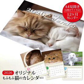オリジナル もふもふねこのカレンダー 2026年版 - ペルシャ猫の希少種 チンチラの日常をカメラに収めた一年 A3 見開き A4冊子サイズ 令和7年 かわいい 可愛い 壁掛けカレンダー 猫 ネコ 写真 六曜入り すぷぴよ工房 オリジナル