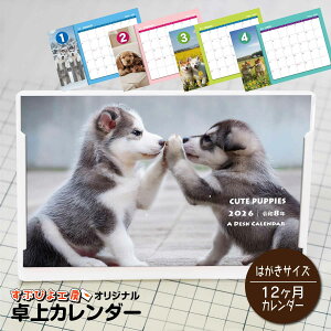 2026N J_[bCUTE PUPPIESJ_[ 킢q̃J_[