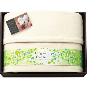 fނ̏@I[KjbNRbgȖѕz