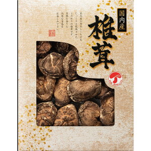 Yǂ񂱒ői100gj