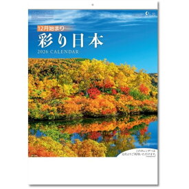 カレンダー 2026 壁掛け 12月始まり彩り日本
