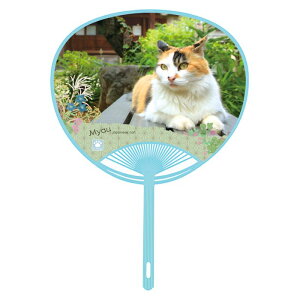 |@{Li10{Pʁj񏤕ii[vmFj