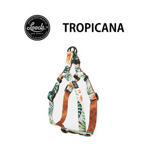 yKAizLeeds Dog Supply pn[lX HARNESS TROPICANA(gsJ[i)  킢 v 􂦂 ^ ^ ^p JtHjA lR|X  [ Xe