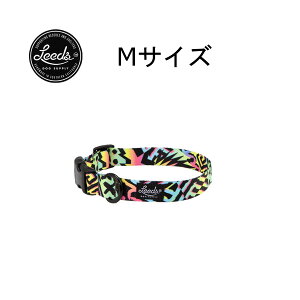 yKAizLeeds Dog Supply p COLLAR BODHI  킢 v 􂦂 ^ ^ ^p JtHjA T[tBCODANpf lR|X  [