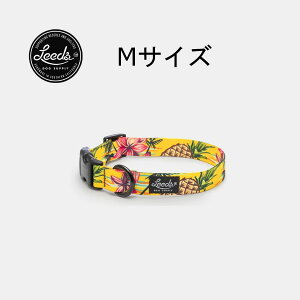 yKAizLeeds Dog Supply p COLLAR LUAU(AE)  킢 v 􂦂 ^ ^ ^p JtHjA lR|X  [ pCibv