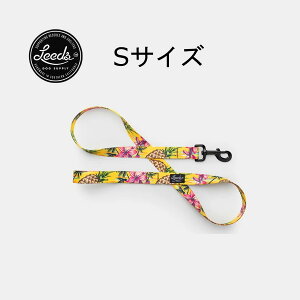 yKAizLeeds Dog Supply p[h LEAD LUAU(AE)  킢 v 􂦂 ^ ^ ^p JtHjA lR|X  [ pCibv