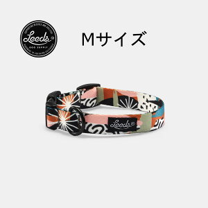 yKAizLeeds Dog Supply p COLLAR LYNX(NX)  킢 v 􂦂 ^ ^ ^p JtHjA lR|X  [