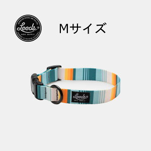 yKAizLeeds Dog Supply p COLLAR DOHENY(hwj[)  킢 v 􂦂 ^ ^ ^p JtHjA T[tBCODANpf lR|X  