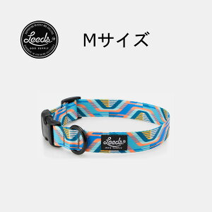 yKAizLeeds Dog Supply p COLLAR ROVER([o[)  킢 v 􂦂 ^ ^ ^p JtHjA T[tBCODANpf lR|X  