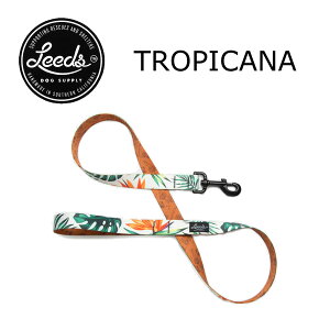 yKAizLeeds Dog Supply p[h LEAD TROPICANA(gsJ[i)  킢 v 􂦂 ^ ^ ^p JtHjA lR|X  [ Xe