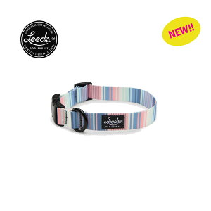 yKAizLeeds Dog Supply p COLLAR ZUMA(Y[})  킢 v 􂦂 ^ ^ ^p JtHjA lR|X  [