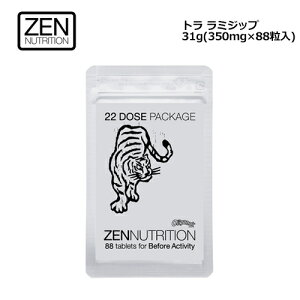 �������� ZEN �[�� SUPER DRIVE �X�[�p�[�h���C�uEX �� �Ƃ� �T�v�������g �A�~�m�_ ���[���֑Ή����g�� ���~�W�b�v M 31g