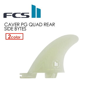  FCS2 GtV[GX tB X^r NAbh GX newFCSII CARVER PG QUAD REAR SIDE BYTES