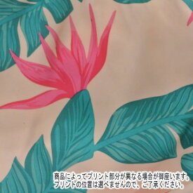 ボードショーツ