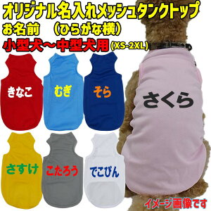 ̖ꂪo pbV^Ngbv Ђ炪ȉ  ^`^ XS~2XL 5FWJ vgJ[10F [֑ yԕisz