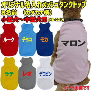 ̖ꂪo pbV^Ngbv J^Ji  ^`^ XS~2XL 5FWJ vgJ[10F [֑ yԕisz