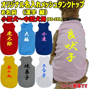 ̖ꂪo pbV^Ngbv c  ^`^ XS~2XL 5FWJ vgJ[10F [֑ yԕisz