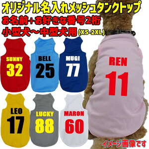 ̖ꂪo pbV^Ngbv wԍ  ^`^ XS~2XL 5FWJ vgJ[10F [֑ yԕisz