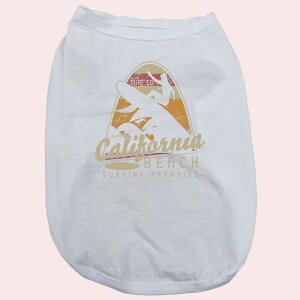 p pRbg^Ngbv@yCALIFORNIA BEACHzT[t  ^`^ S`XL 8FWJ [֑ yԕiAALZsz