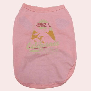 p pRbg^Ngbv@yCALIFORNIA BEACHzT[t  ^`^ S`XL 8FWJ [֑ yԕiAALZsz