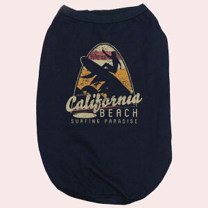 p pRbg^Ngbv@yCALIFORNIA BEACHzT[t  ^`^ 2XL`5XL 8FWJ [֑ yԕiAALZsz