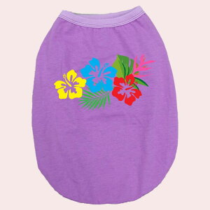 p pRbg^Ngbv@ynCrXJX1zT[t  ^`^ 2XL`5XL 8FWJ [֑ yԕiAALZsz